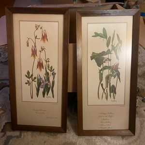 Two Ray Harm floral prints.